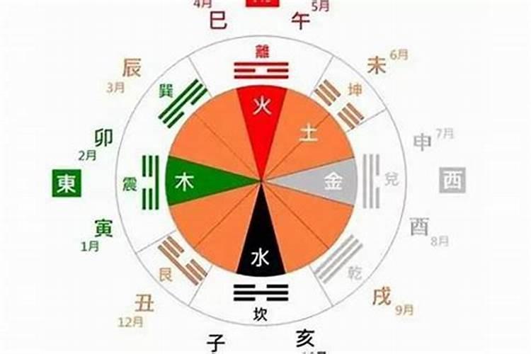 日子五行看天干还是地支