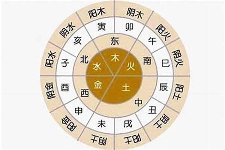 八字五行看天干还是地支