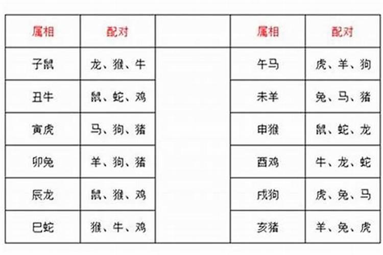 相刑生肖可婚配吗