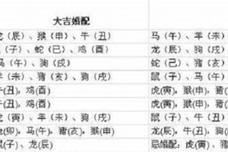 属马2022年全年运势详解免费