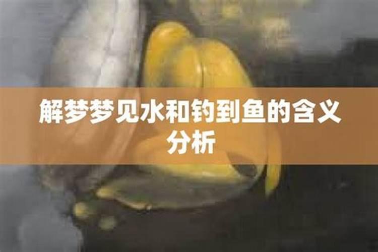 梦见鱼是什么意思和水