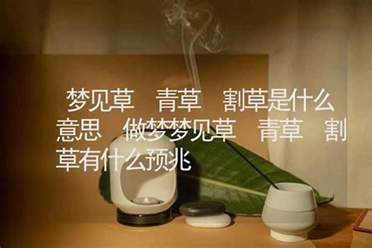 做梦梦见割草是什么意思