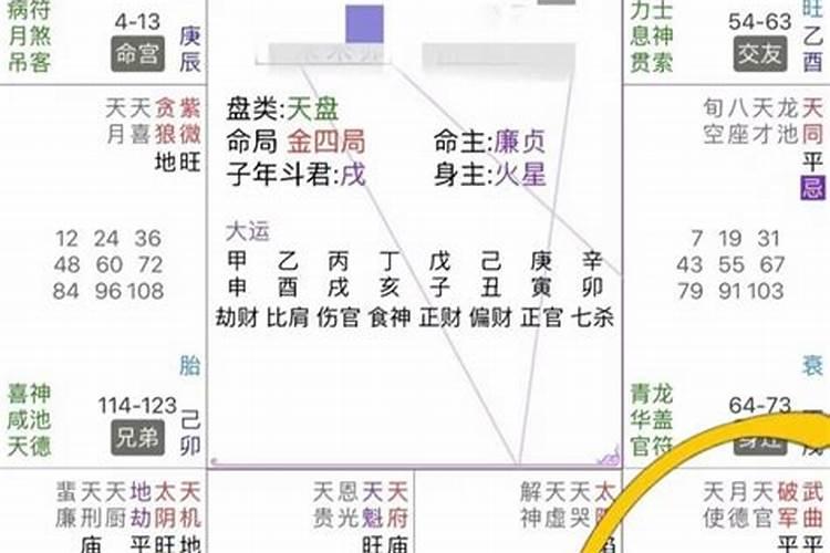 八字预测原理是什么意思