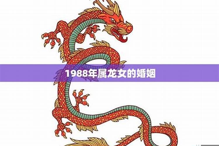 1988年属龙的姻缘