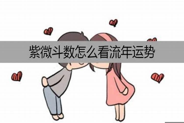 属猪与什么属相相克父女关系