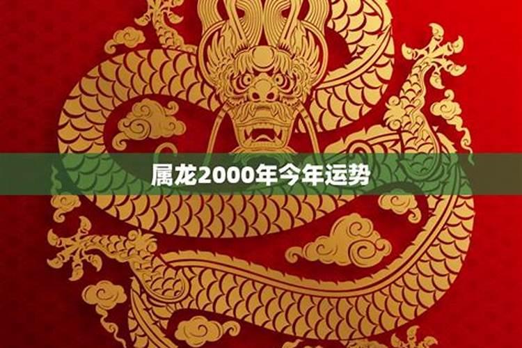 00年属龙的今年运势