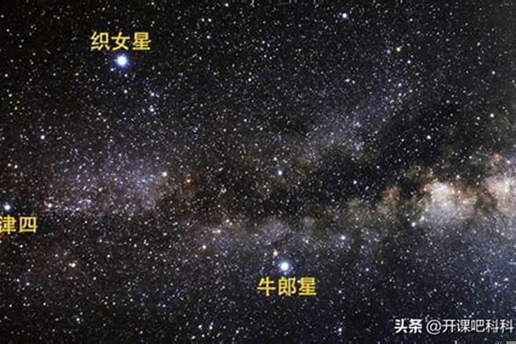 牛郎星位于哪个星座