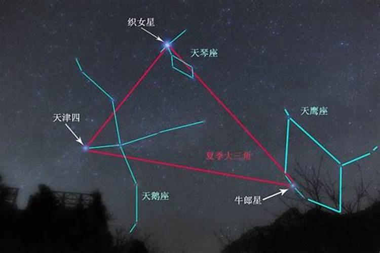 牛郎星是属于什么星座p