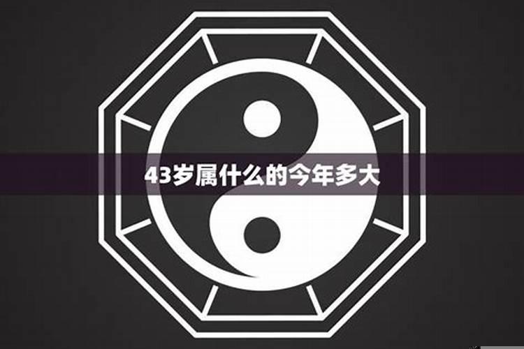 43岁今年属什么的多少岁