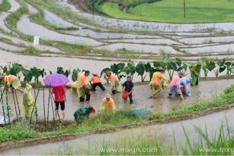 梦见自己拖地是什么意思周公解梦