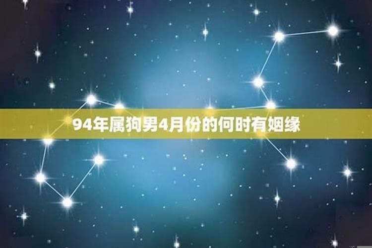 属兔人2021年运势麦玲玲