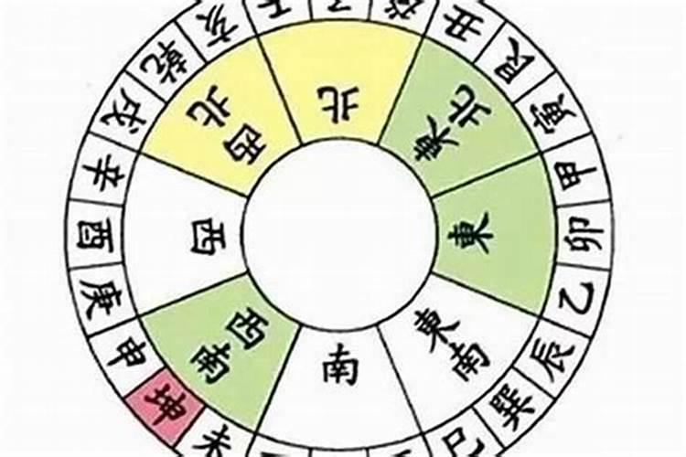 向字五行属什么的