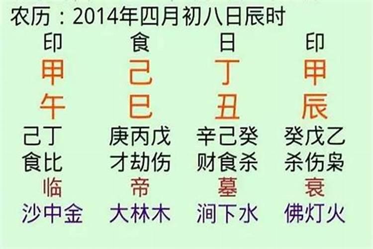 今年是什么年,属什么