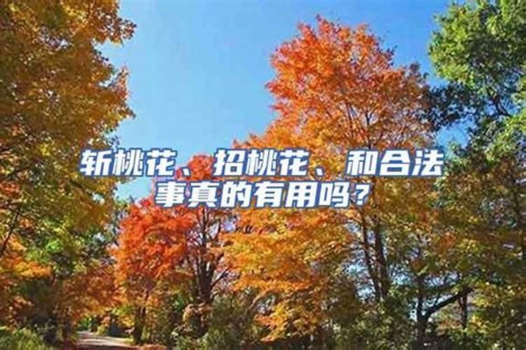 合婚犯桃花是什么意思