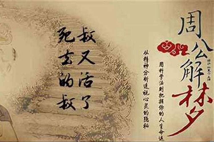 1983属什么生肖,今年几岁啦