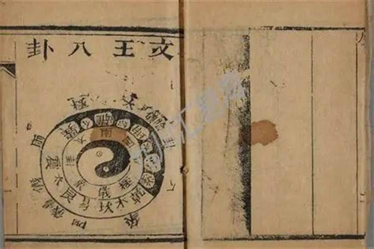 属羊的今年幸运数字