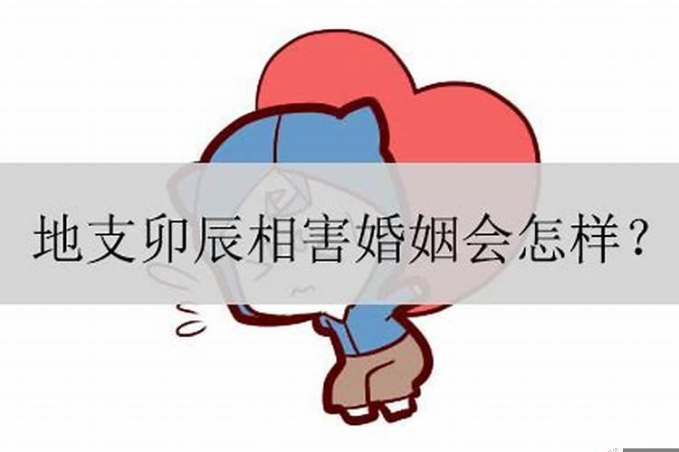 梦到小乌龟是什么意思啊