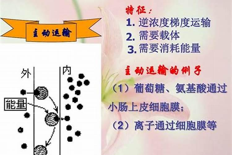 梦见别人给自己要钱是什么意思