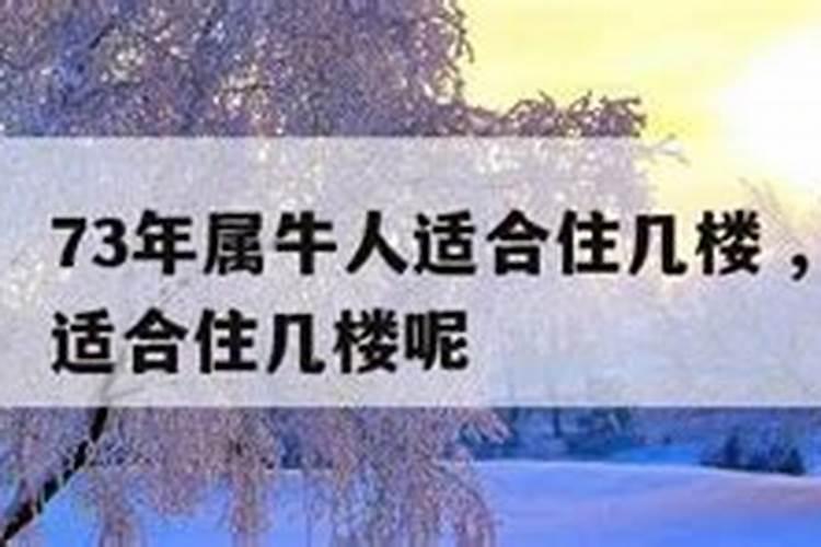 正月初二的幸运数字是