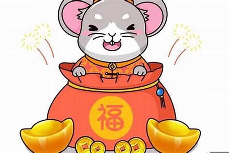 属鼠的今年运程属鼠今年的运势