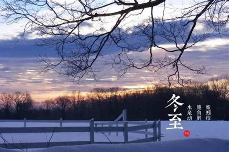 今年冬至节农历十一月几曰