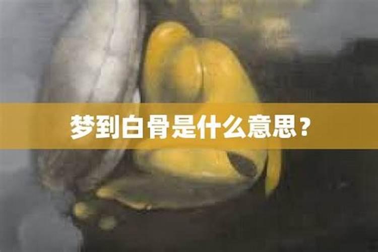 生男孩一般会梦见什么