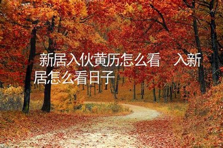 梦见蛇跟鸟是什么意思