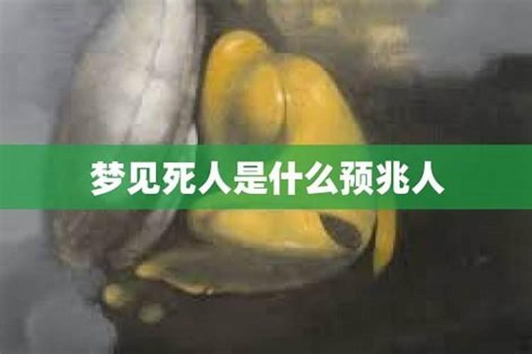 梦见被猫抓伤出血了是什么意思