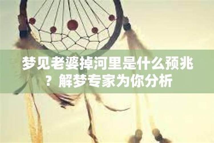 丙子丁丑年是属什么