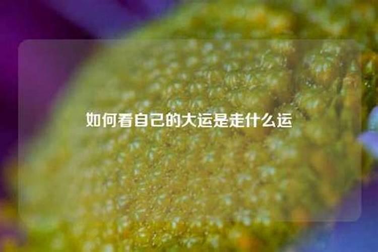 为什么中秋节是农历八月十五而不是其他月的十五