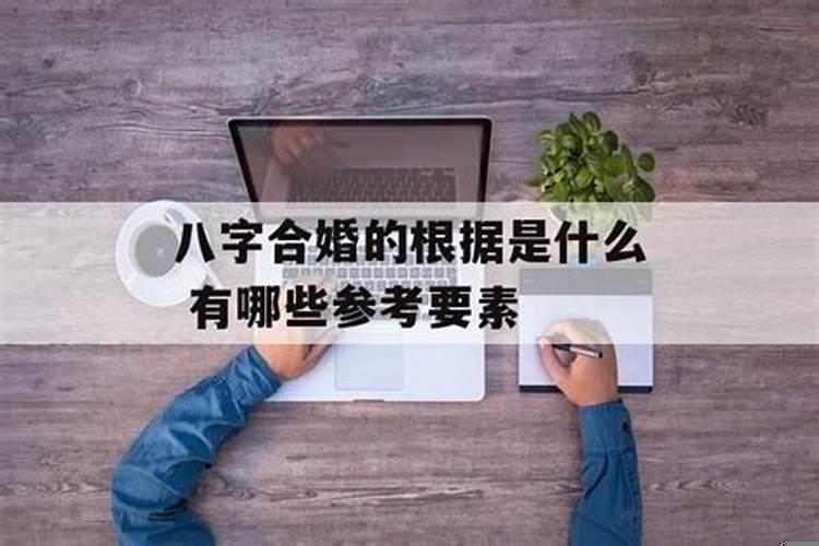 梦到马蜂追着蛰自己什么意思