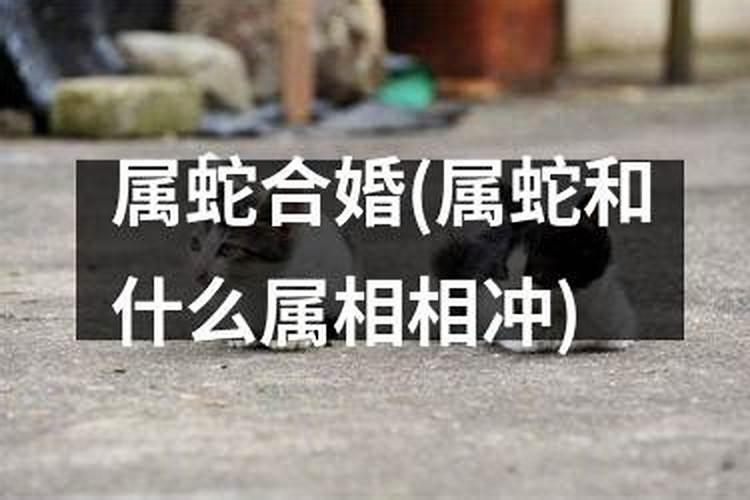 做梦梦到别人家白事喜事一天办好不好