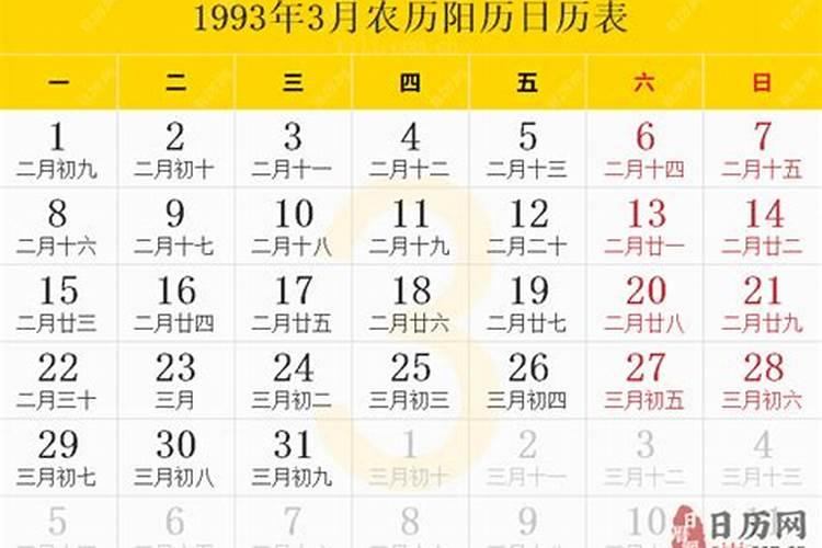 一九九九年三月十五日出生