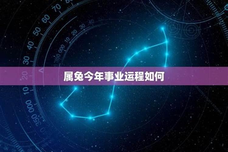 十二星座双鱼座的幸运颜色