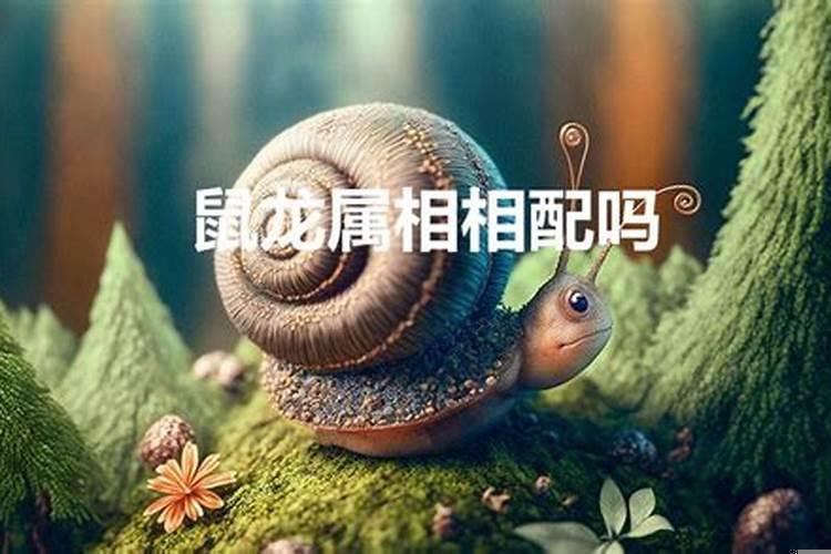 10月8日星座是什么