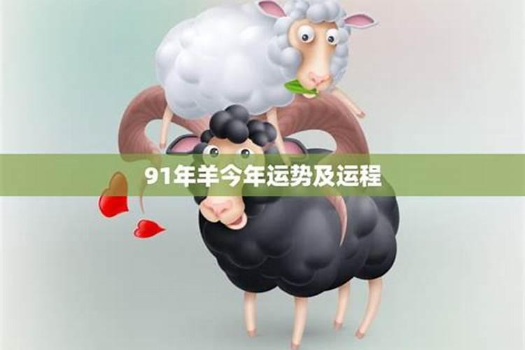 91属什么今年运势