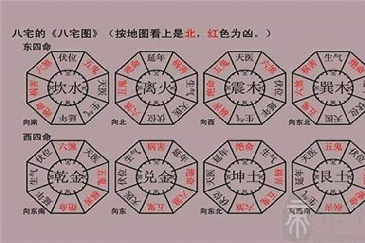 属马的人本命年