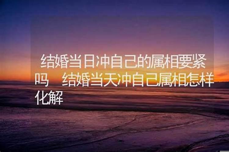 黄历冲生肖是什么意思