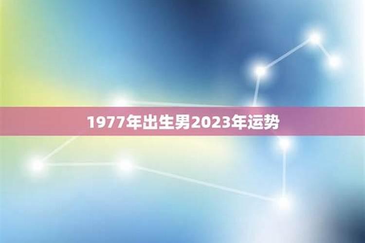 79年属什么的生肖什么星座