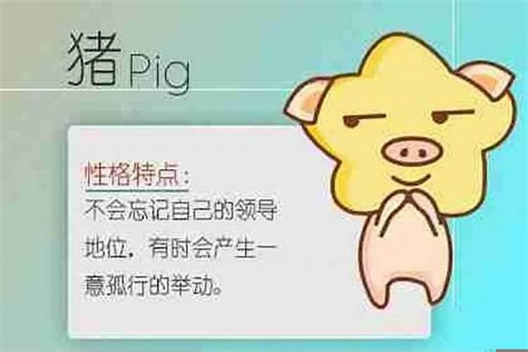 怀孕的人做梦梦到猪是什么意思