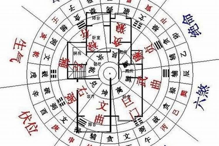 梦见老鼠追着我咬是什么意思呀