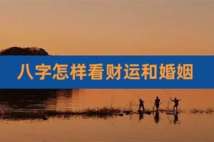 生肖测运势2021年运势