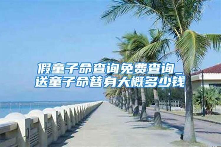 属龙明年是什么命