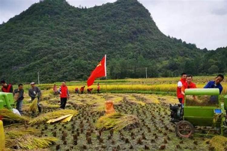 来了清明节几号结束