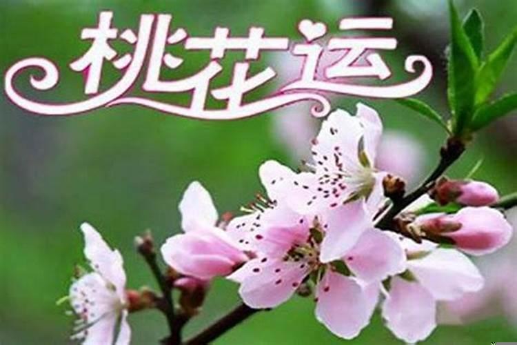 什么是属虎人幸运花