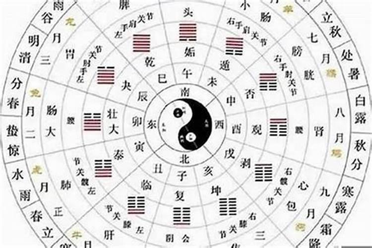 八字合婚是看年柱还是日柱时柱