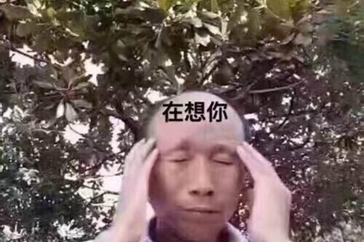 梦见健在的亲人死了又活了是什么意思