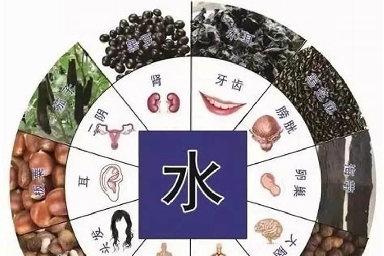 食字五行属什么属性的