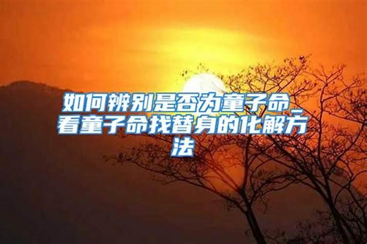 七彩披一身代表什么生肖