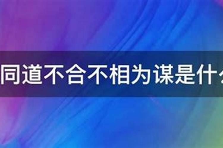 三月十五去哪里敬香比较好